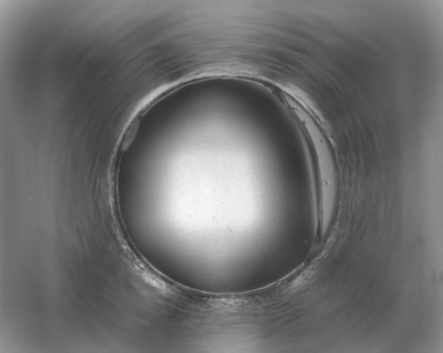 X0000061120854200512022150