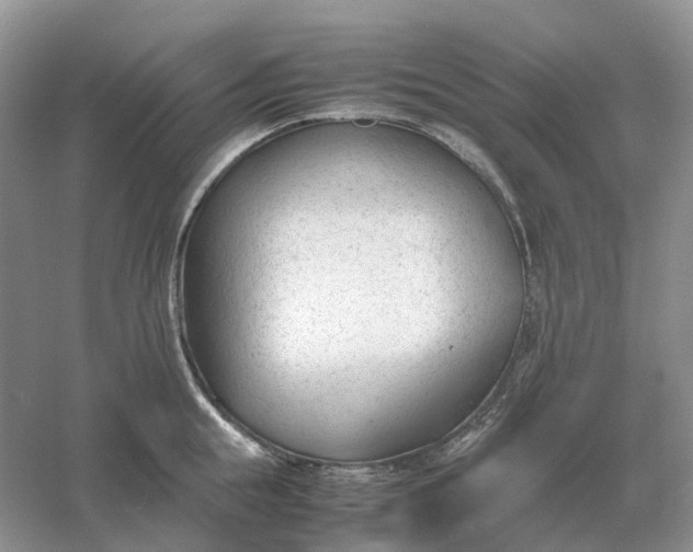 X0000061120855200512022150