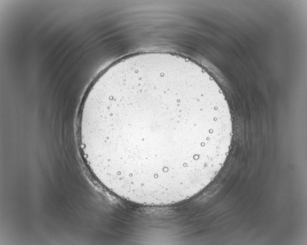 X0000061120856200512022150