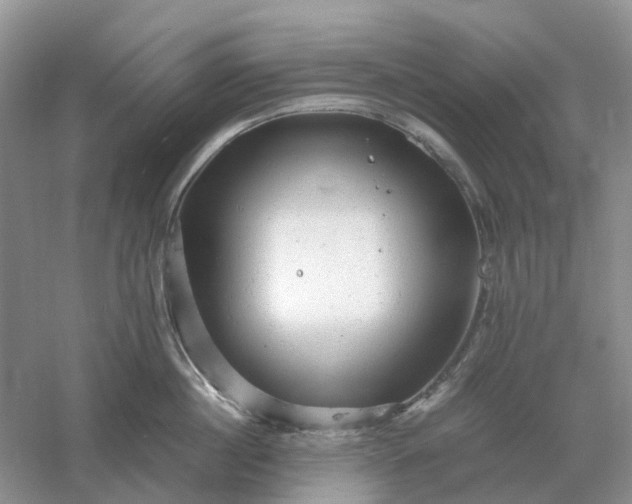 X0000061120860200512022150