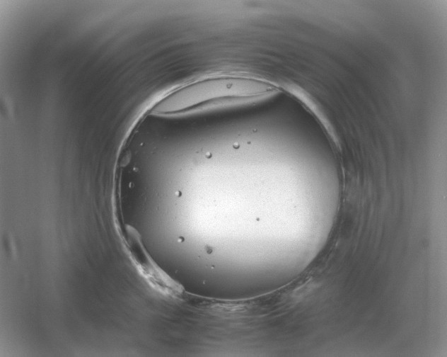 X0000061120861200512022150