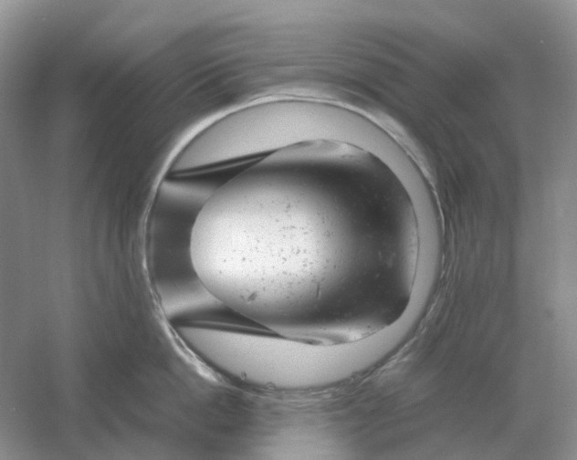 X0000061120862200512022150