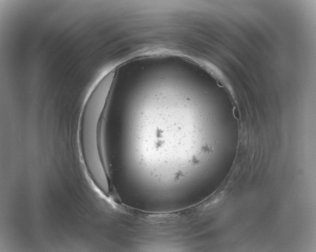 X0000061120863200512022150