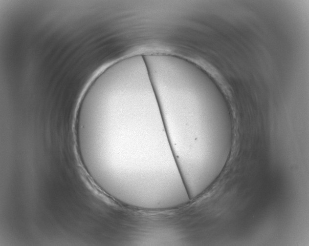 X0000061120864200512022150