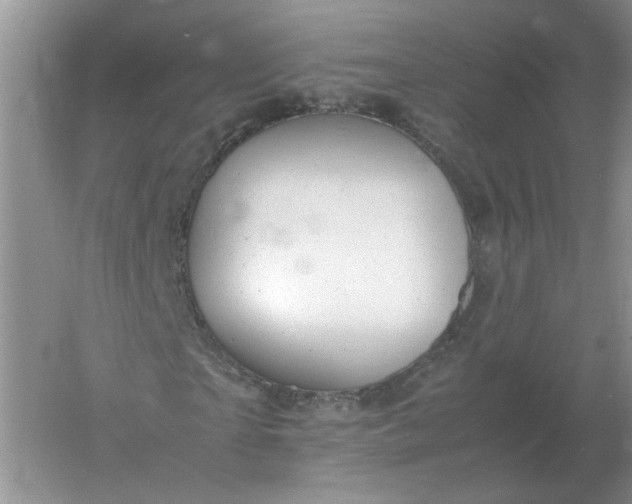 X0000061120865200512022150