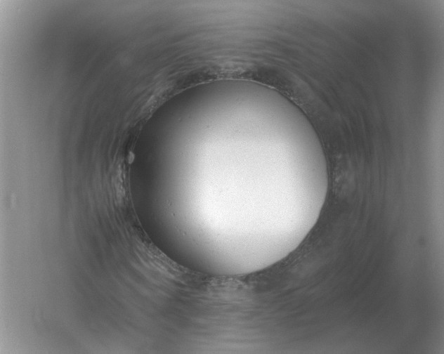 X0000061120866200512022150