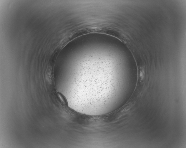 X0000061120867200512022150