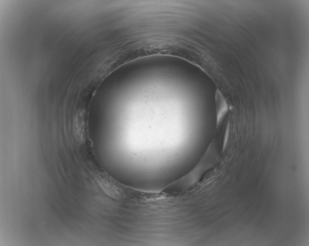 X0000061120868200512022150