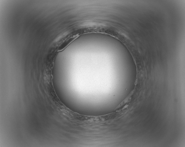 X0000061120869200512022150