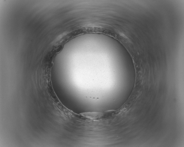 X0000061120870200512022150