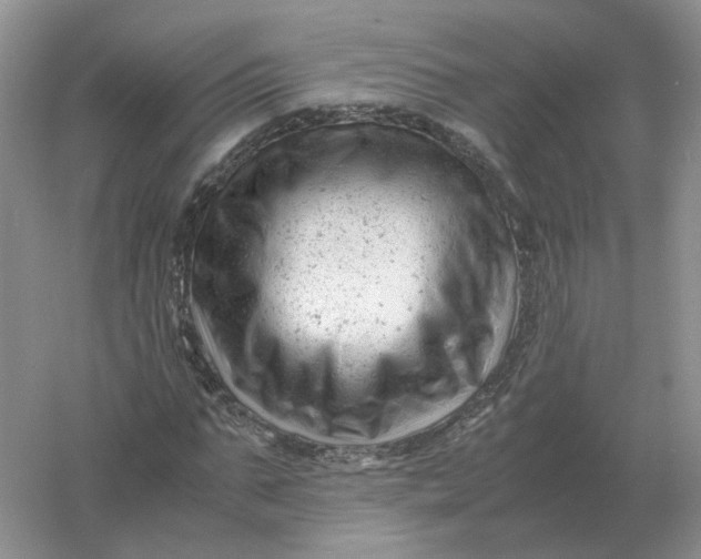 X0000061120871200512022150