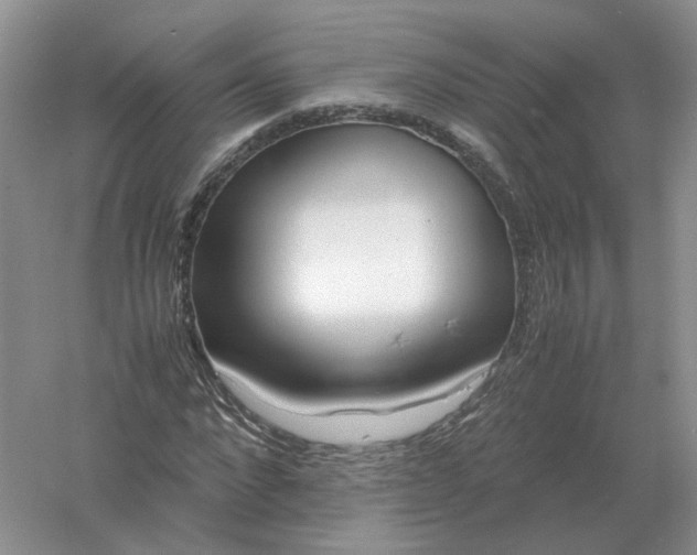 X0000061120872200512022149