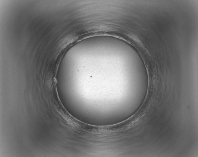 X0000061120873200512022149