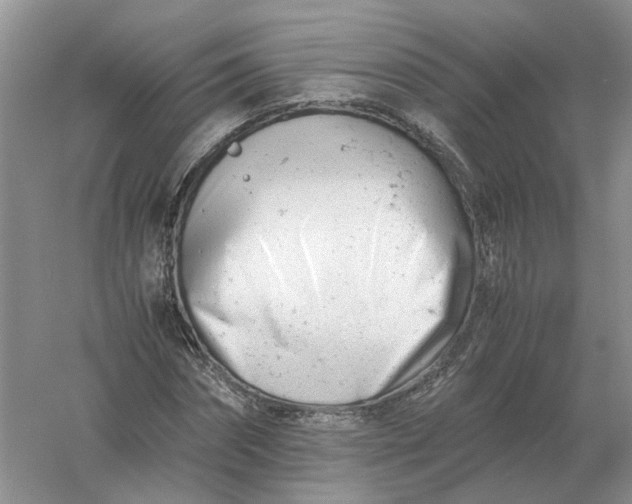 X0000061120874200512022149