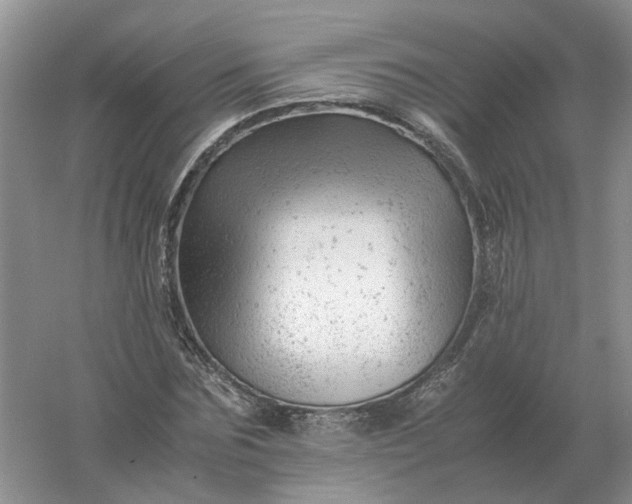 X0000061120875200512022149