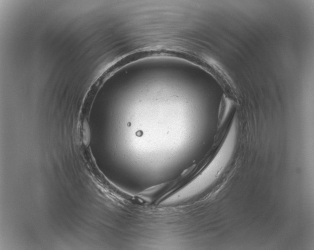 X0000061120876200512022149