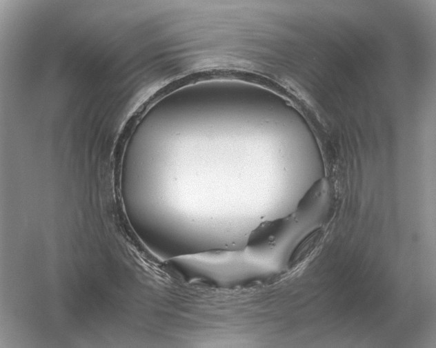 X0000061120877200512022149