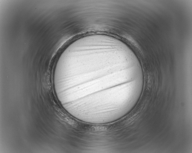 X0000061120878200512022149