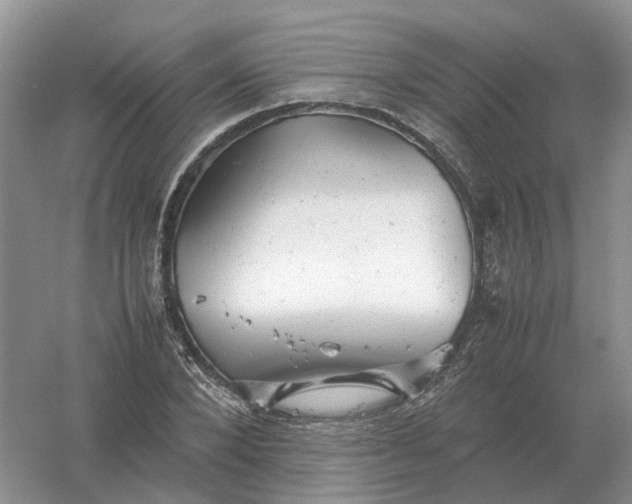 X0000061120880200512022149