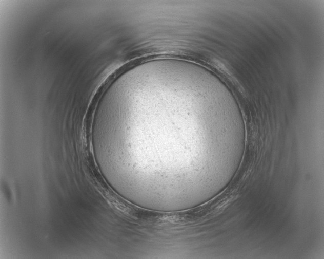 X0000061120883200512022149