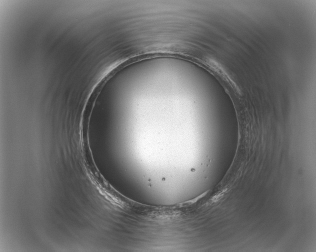 X0000061120884200512022149