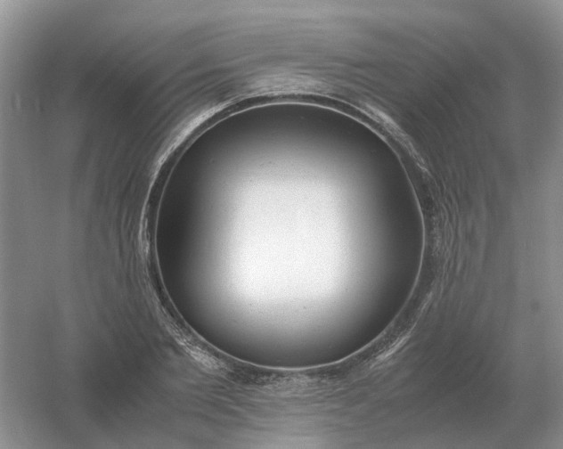 X0000061120885200512022149