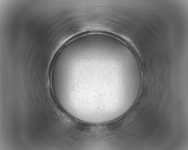 X0000061120887200512022149