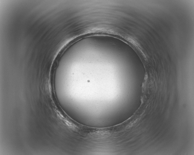 X0000061120888200512022149