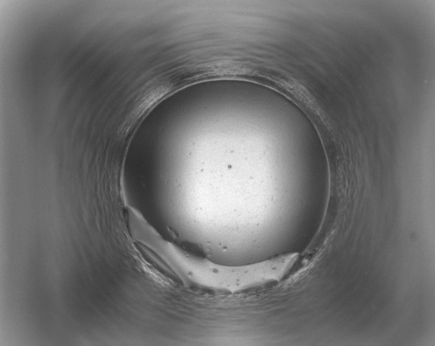 X0000061120889200512022149