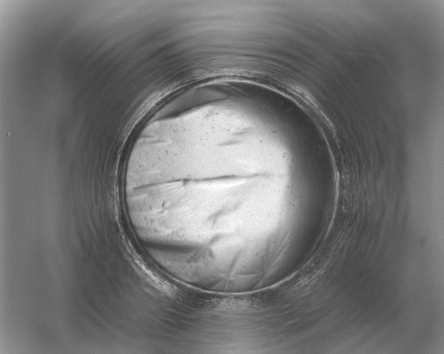 X0000061120890200512022149