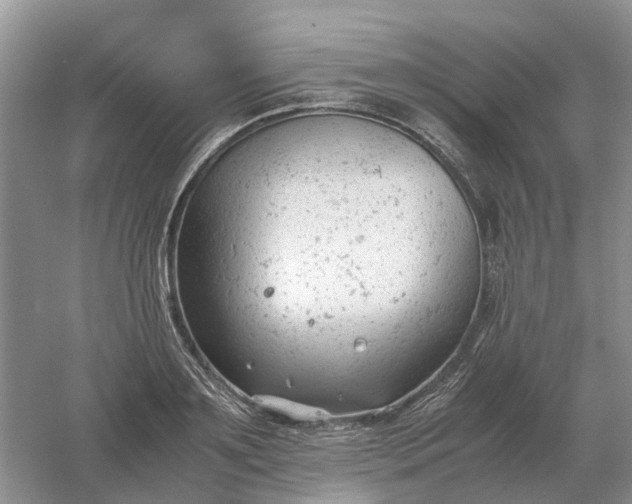 X0000061120891200512022149