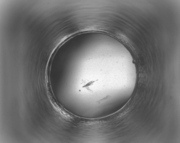 X0000061120892200512022149