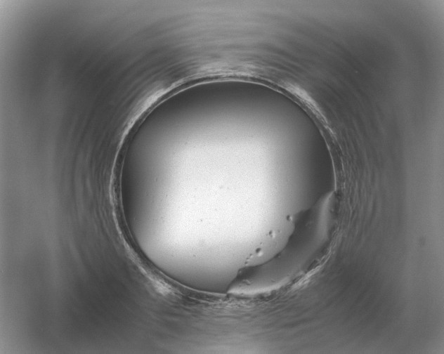 X0000061120893200512022149