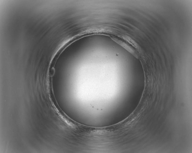 X0000061120894200512022149