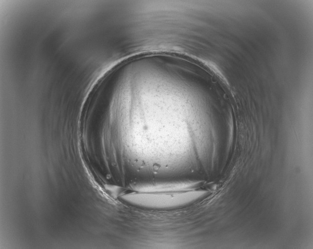 X0000061120895200512022149