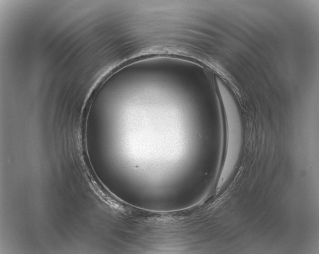 X0000061120896200512022149