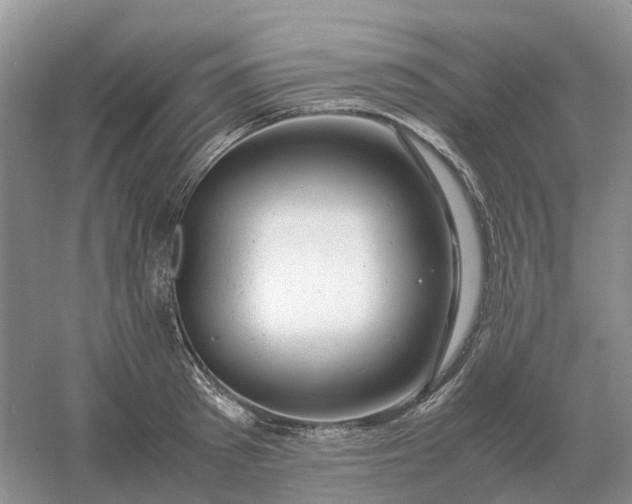 X0000061120897200512022149