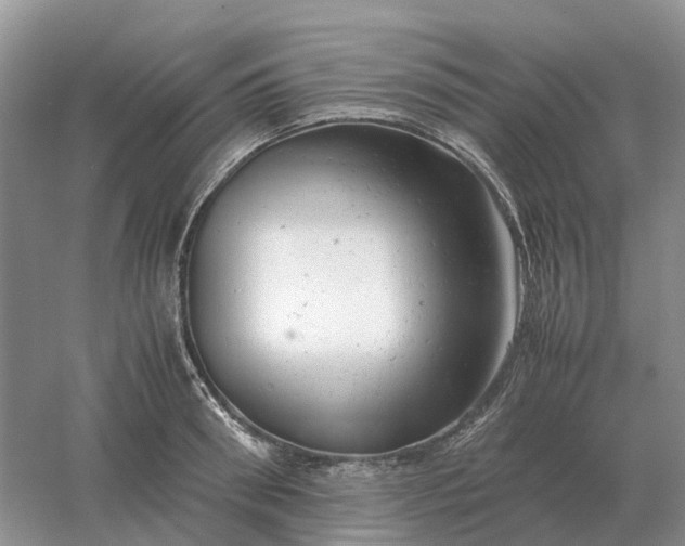 X0000061120898200512022149