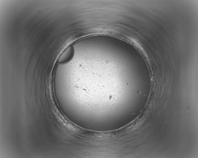 X0000061120899200512022149