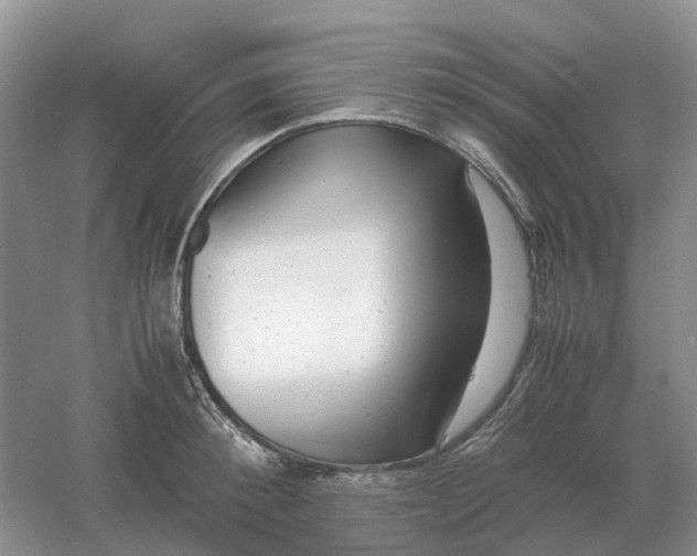 X0000061120900200512022149