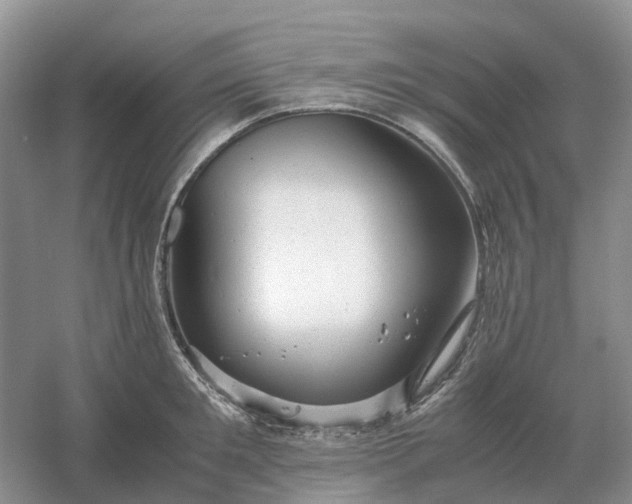 X0000061120901200512022149