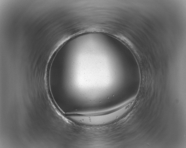 X0000061120902200512022149