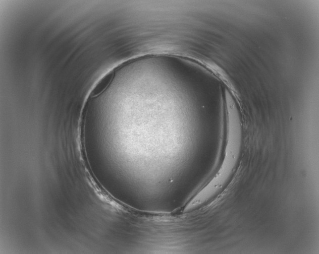 X0000061120904200512022149