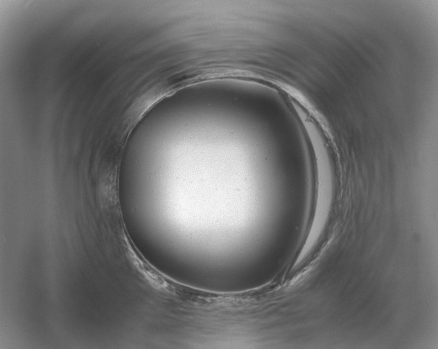 X0000061120905200512022149