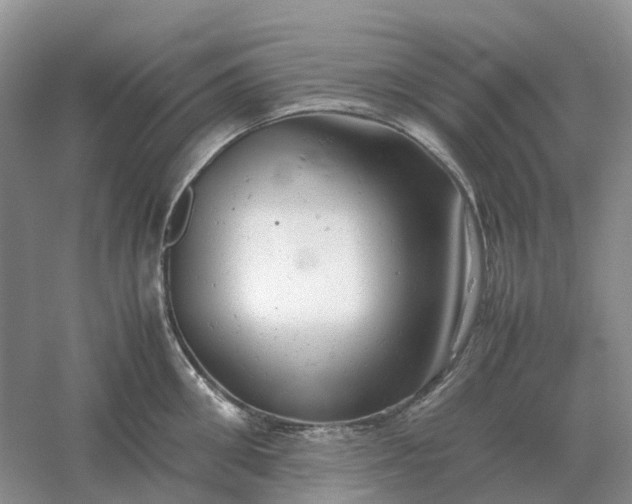 X0000061120906200512022149