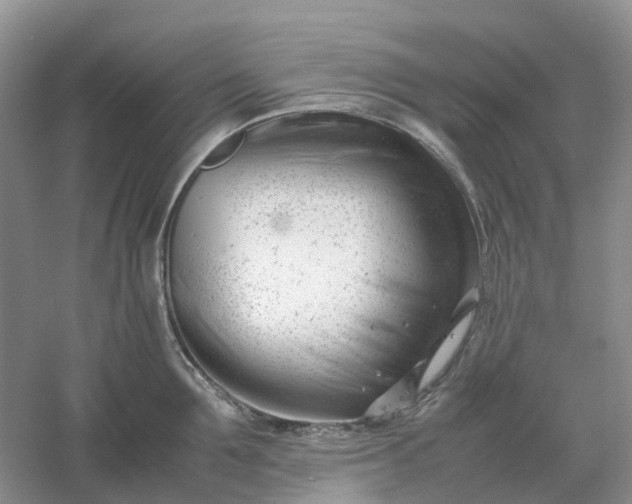 X0000061120907200512022149