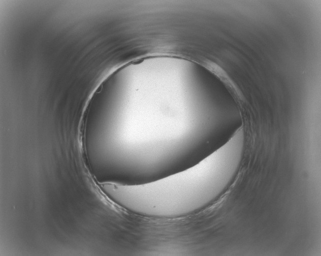 X0000061120908200512022149