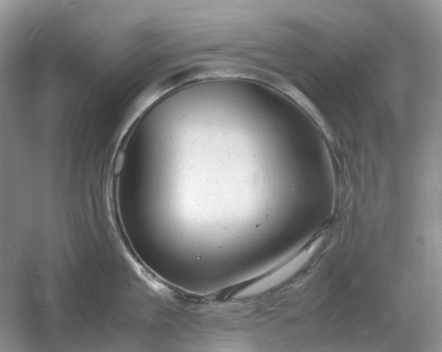 X0000061120909200512022149