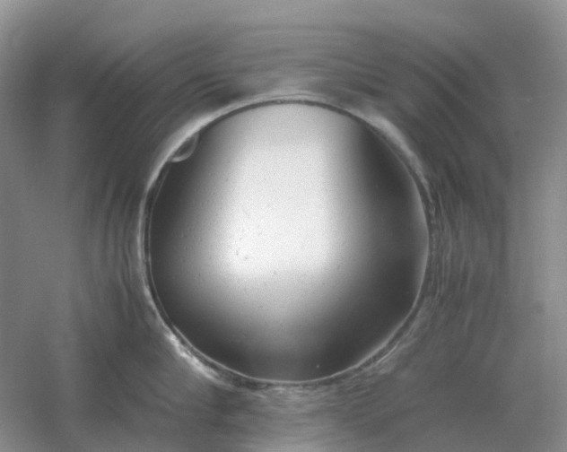 X0000061120910200512022149