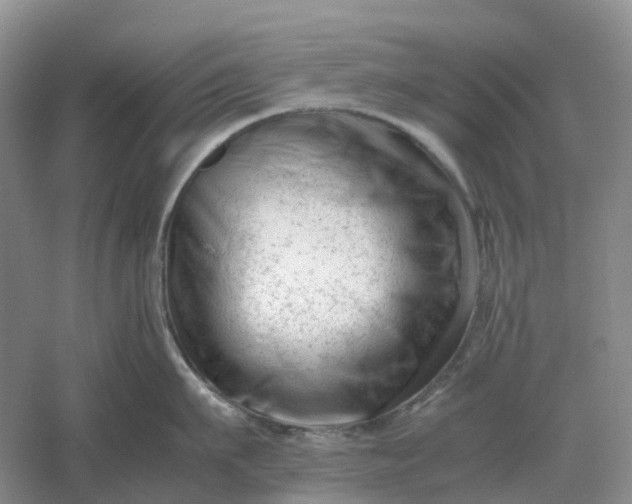 X0000061120911200512022149